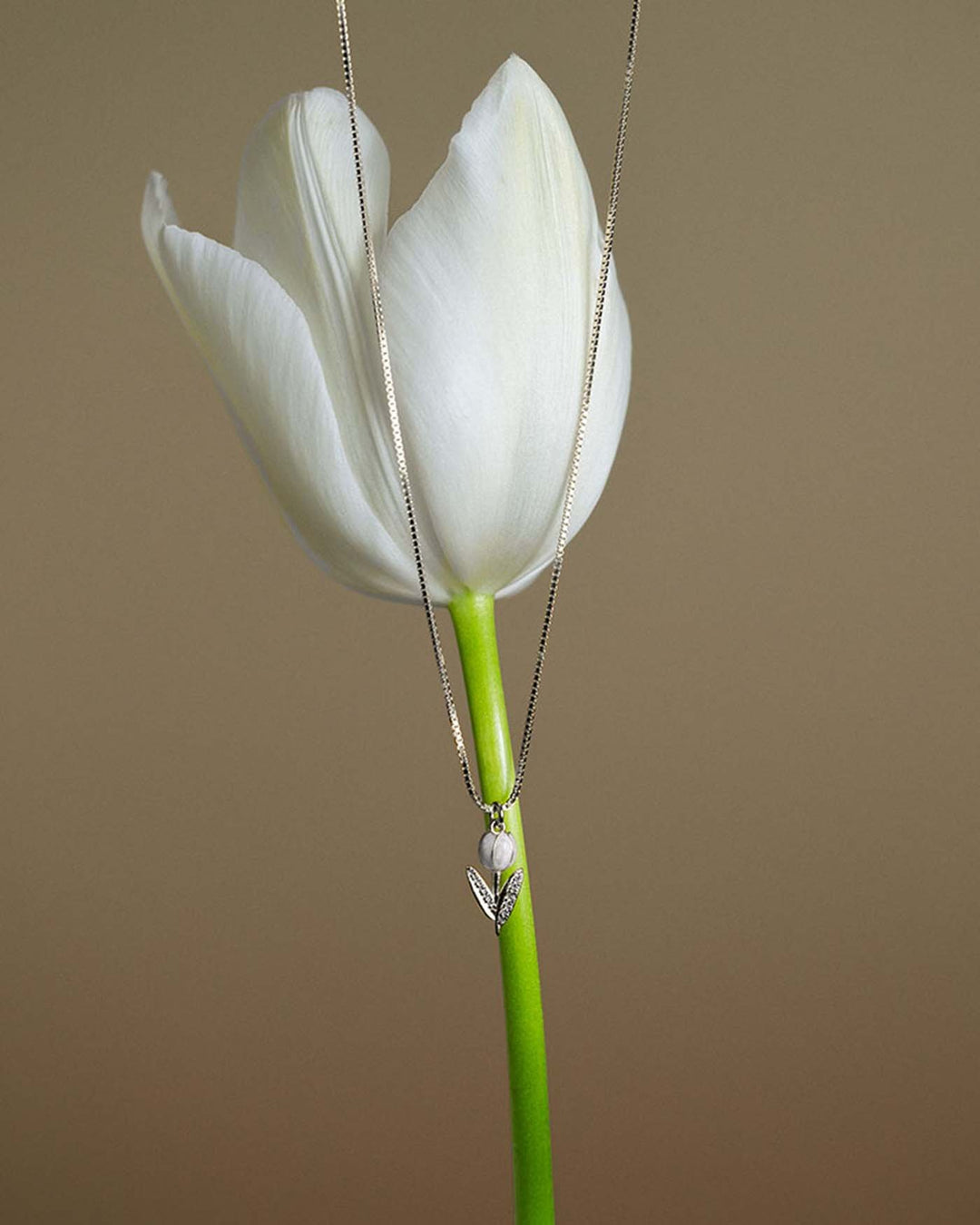 collana tully argento appesa ad un tulipano bianco