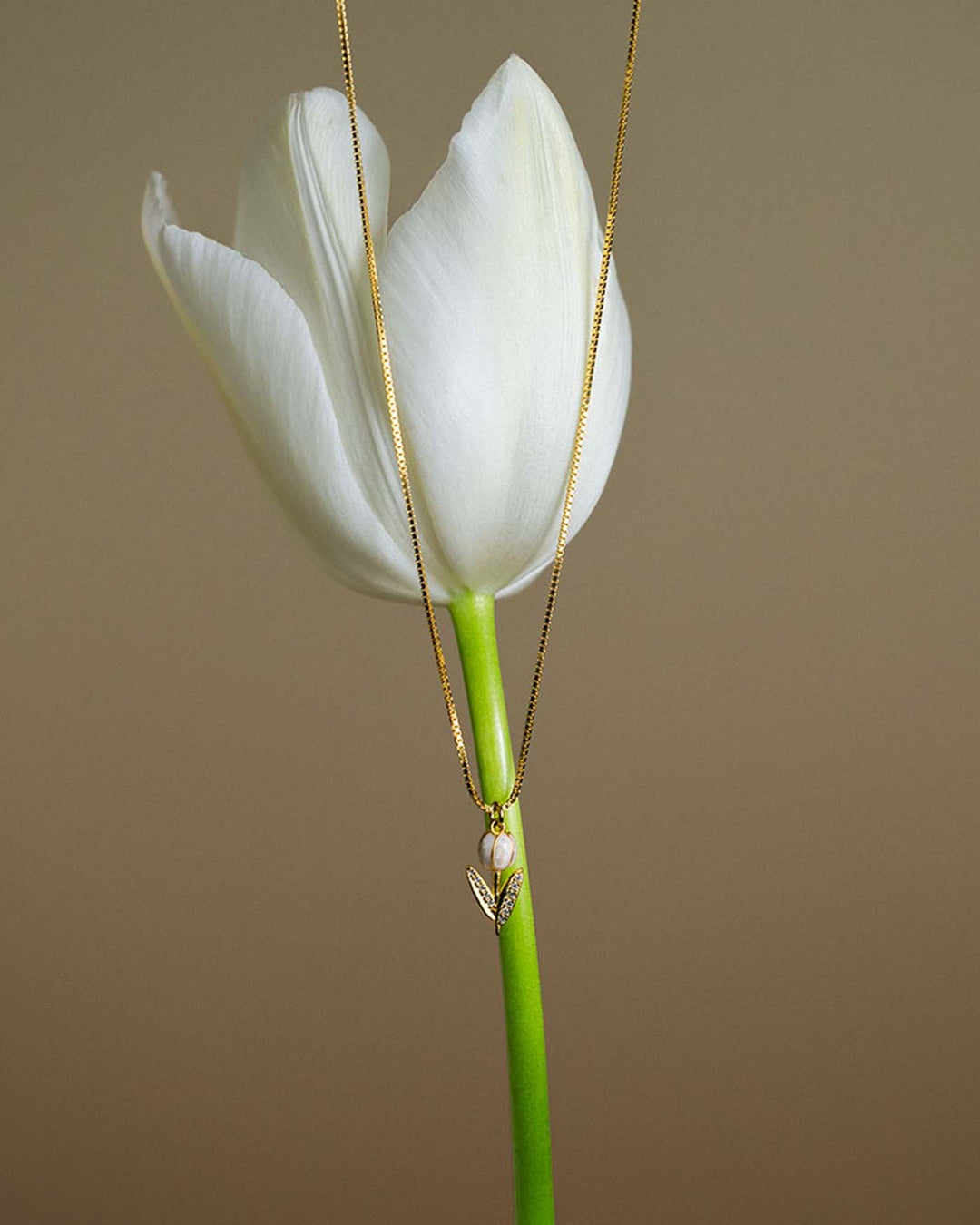 collana tully placcata oro appesa ad un tulipano bianco