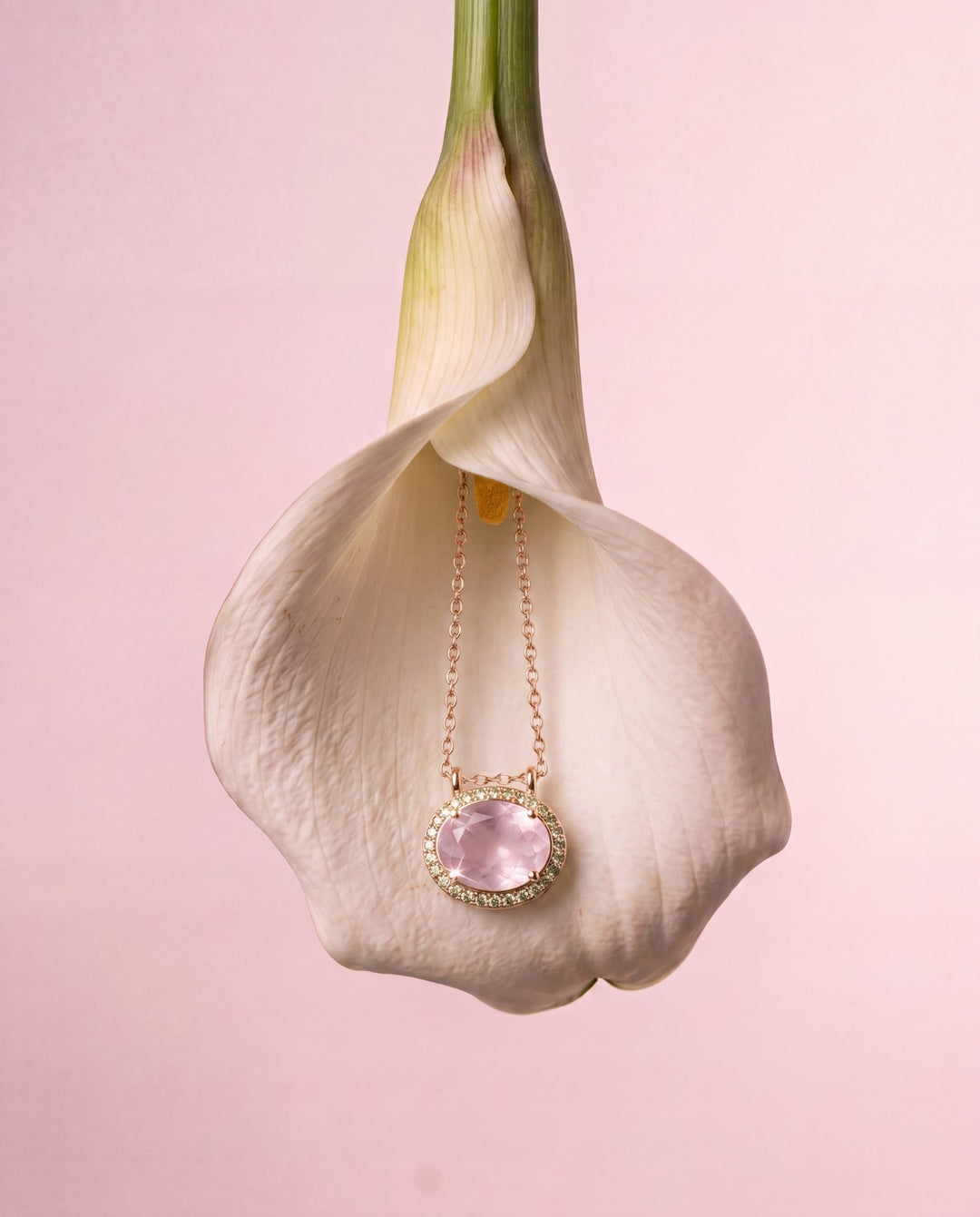 Choker Posy