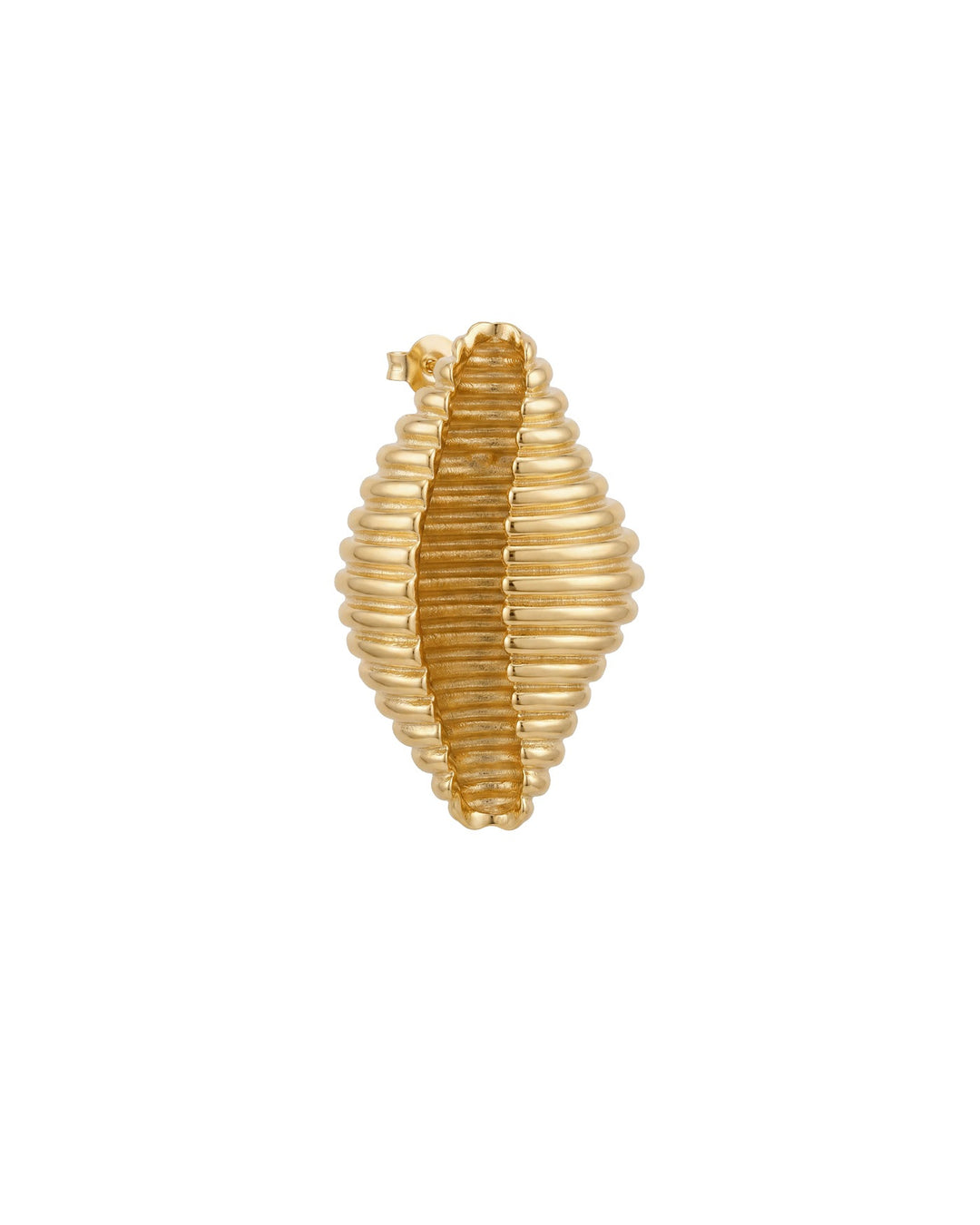 Orecchino Conchiglia