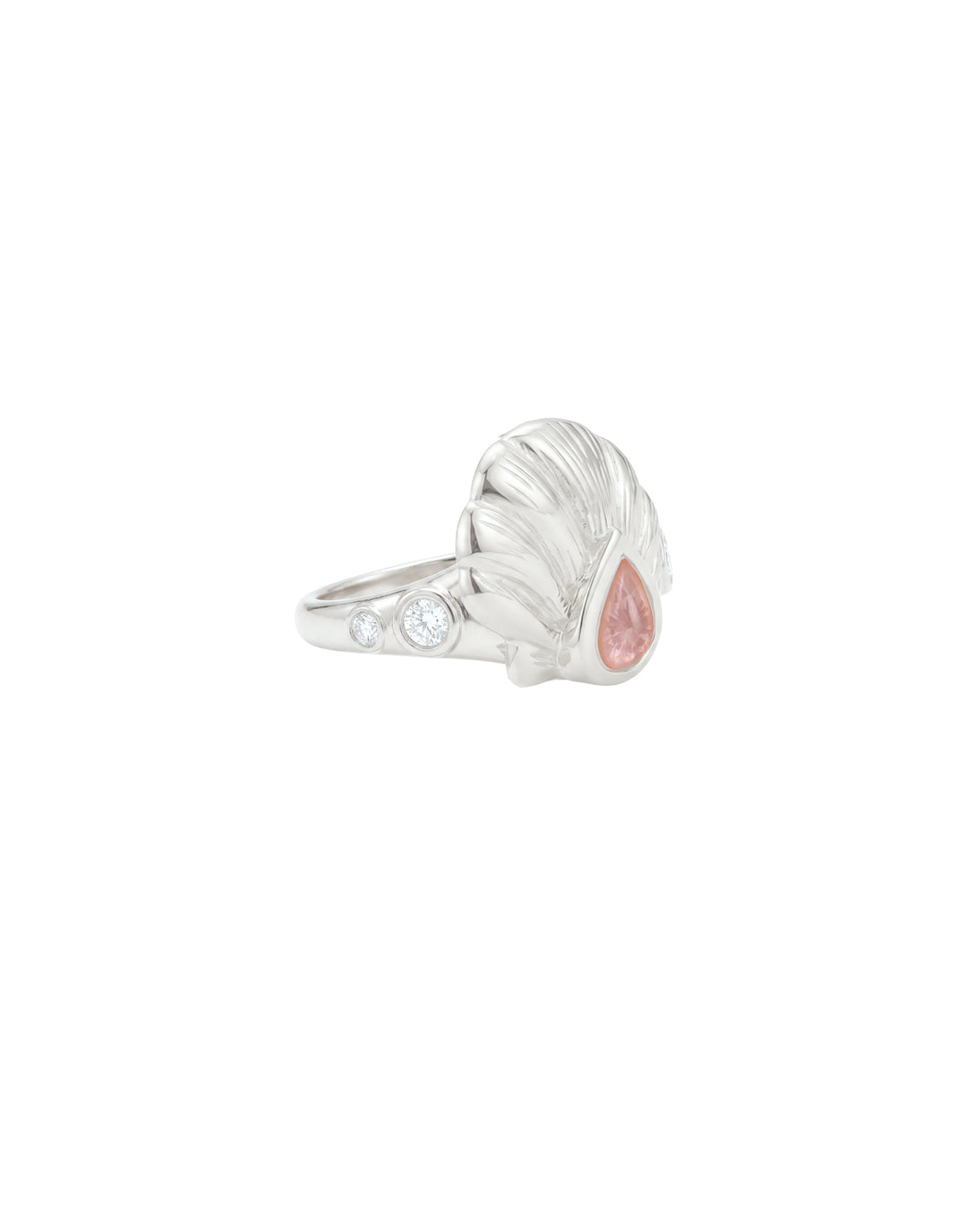 Anello Shelly