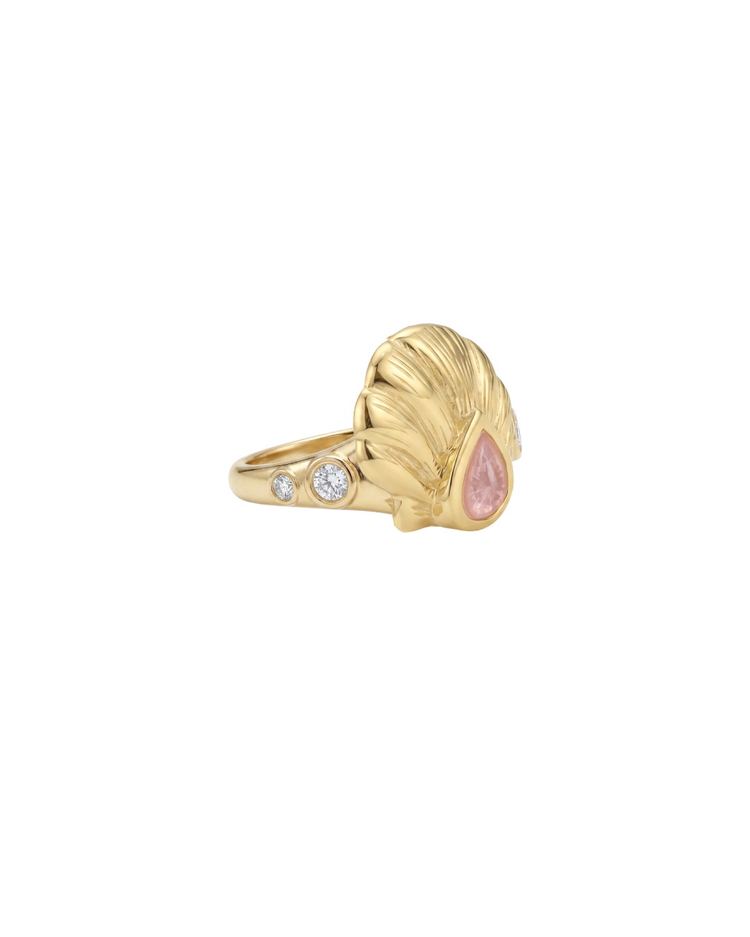 Anello Shelly
