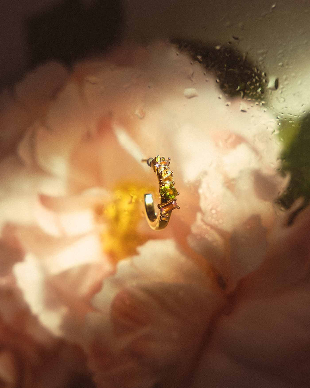 Hoop Lilypad
