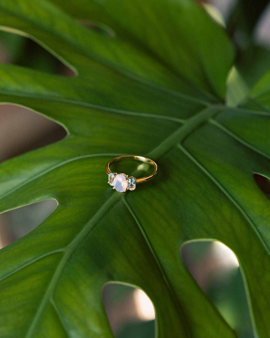 Anello Trilogy Floral